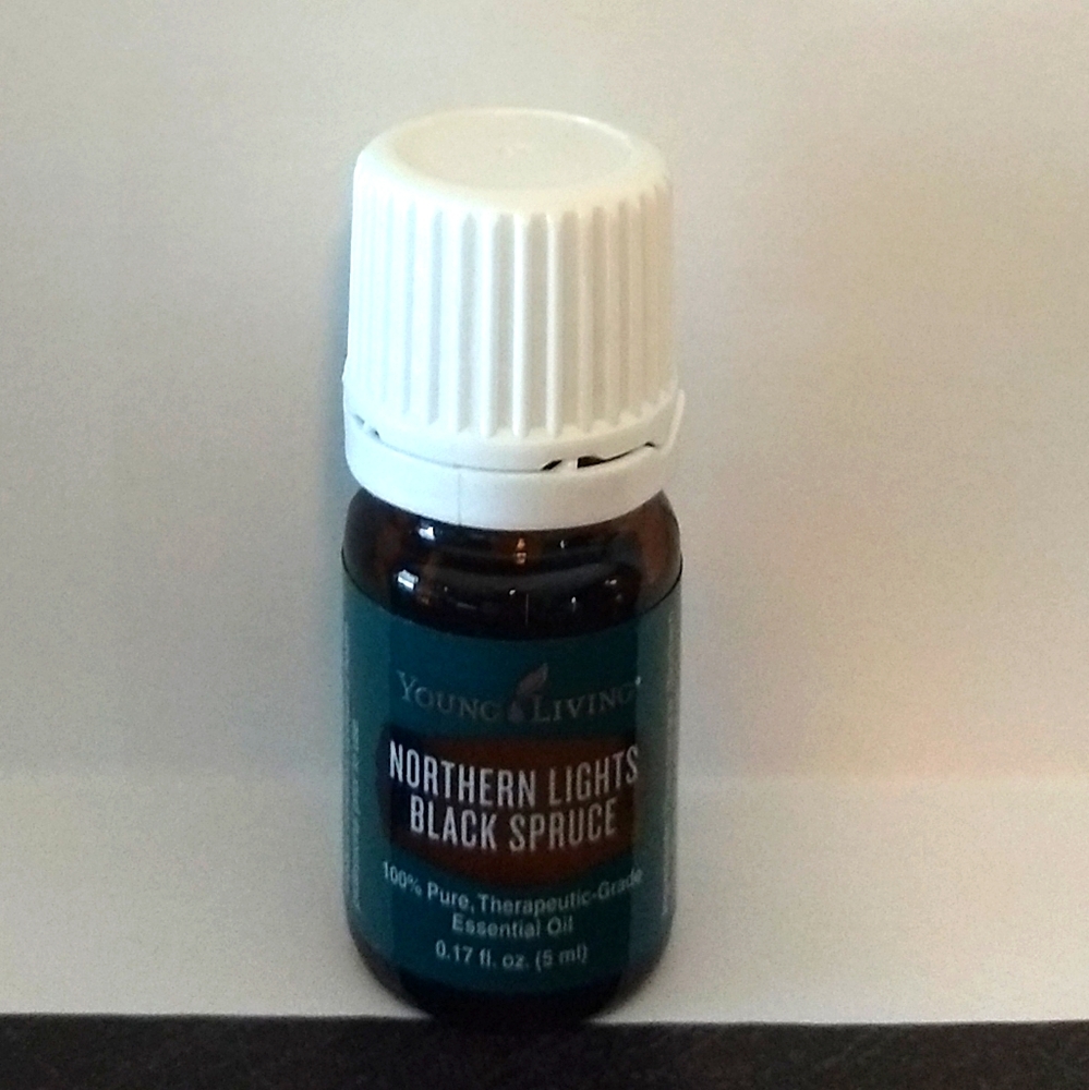 Northern Lights Black Spruce